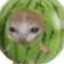 catmelon