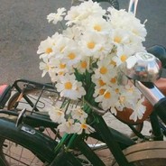 活着就是为了樱岛麻衣