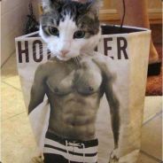 有多少爱可以胡来