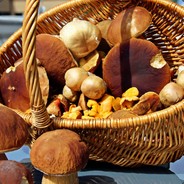 Илюшка Виндовс