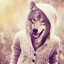 Mr.Wolf