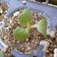 파나마 운하는 파나마나