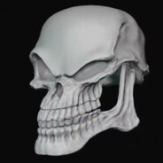 bad to the bone's avatar