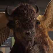 bourbon bbq wings ????????