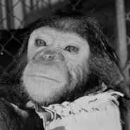 Enos: Second Chimp in Space