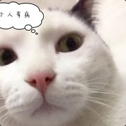 舔狗最后应有尽有