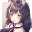 Setsumi