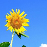 重生服务器太棒了