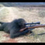 Sniper Monkey