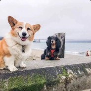 春风亲吻我像蛋蛋蛋挞