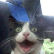 Meow's avatar