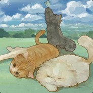 Sulphuric acid wash d1cX