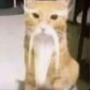 她说没给钱不算卖