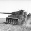 Königstiger