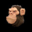 Ape #2