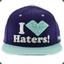 I Love Haters!