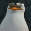 123