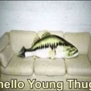 fish on young thug's sofa