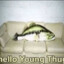 fish on young thug&#039;s sofa