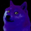 dogepurp