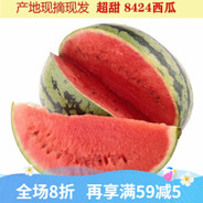 你和你的掩体一样可笑