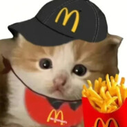 麦当劳小猫