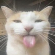 𝘅𝘃𝗶𝗱𝗲𝗼𝘀.com