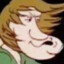 shaggy