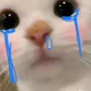 爱是雪地里写诗