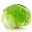 lechuga