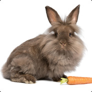 好害怕哦。队友是四黑 怎么办