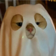 羊村大王懒洋洋