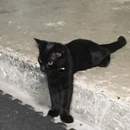 下岗工人再就业