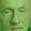 green mike ehrmantraut