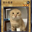 欧玛·基里曼·波