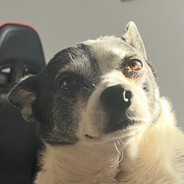 bobik_ avatar