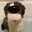bubbafranky avatar