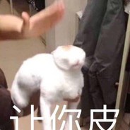 不好意思 自摸七家