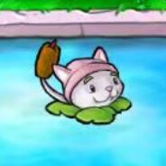 小猫你可以吃芝士汉堡