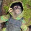 narco monkey