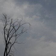 中午吃晚饭太早了