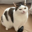 zFouR