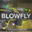 blowfly