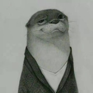 我想养只猫取名顺溜儿