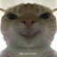 눈_눈