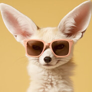 Friendly Fox avatar