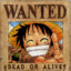 Monkey D. Luffy ®