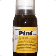 `pini - steam id 76561198019860983