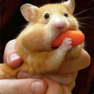 BloodStone - steam id 76561197960807695