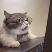 你好像一条dog啊